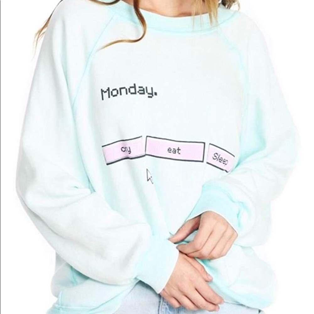NWOT Wildfox Kim Sweater